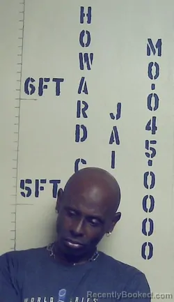 Mugshot of LELAND MINNIS booked in Howard County, Missouri on April 20, 2026