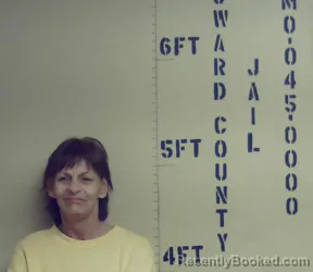 Mugshot of NEVA JO BRILL