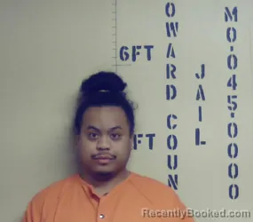 Mugshot of RHYS ALEXANDER FUEMMELER