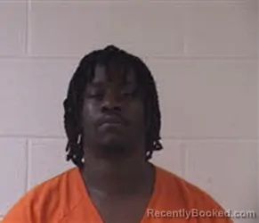 Mugshot of WILLIAM HENRY STEPHENS