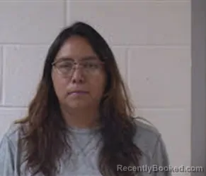 Mugshot of SANDRA TURJA booked in Yancey County, North Carolina on April 18, 2026