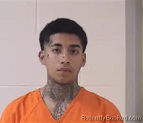 Mugshot of Dylan Kenneth Arenales booked in Yancey County, North Carolina on September 11, 2026