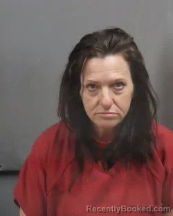 Mugshot of TAMMY JEAN BLEVINS