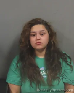 Mugshot of ELIZABETH CONNER