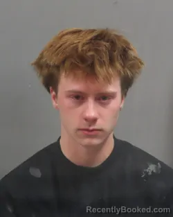 Mugshot of MADISON MARIE CHRISTENSEN