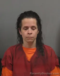 Mugshot of CHRISTINE MARIE DIAZ
