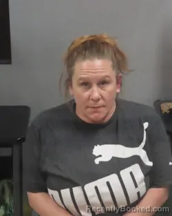 Mugshot of CHRISTINA FEY booked in Jefferson County, Missouri on March 22, 2026