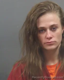 Mugshot of BREANNA MCKENZIE HINKLE