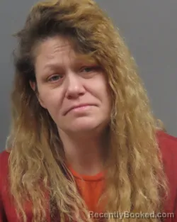 Mugshot of JILL LARAE HOPEWELL