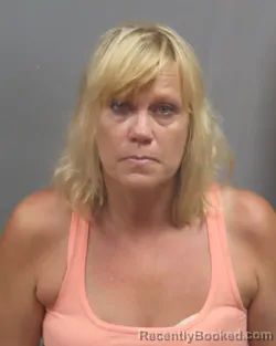 Mugshot of TINA LOUISE HIGGINS booked in Jefferson County, Missouri on June 30, 2026