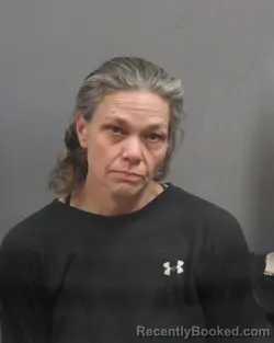 Mugshot of ELIZABETH A JOHNSON