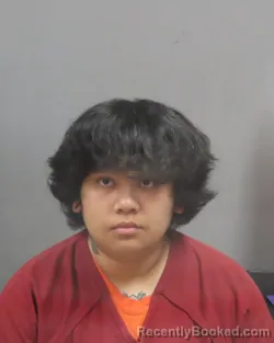 Mugshot of CINDY NGUYEN booked in Jefferson County, Missouri on July 10, 2026