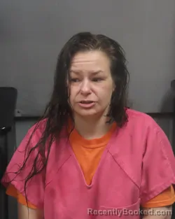 Mugshot of JODI MARGARET PERKINS