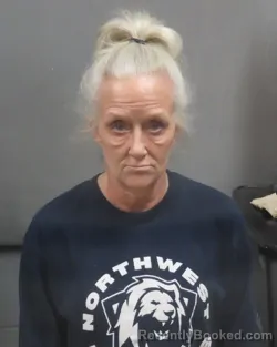 Mugshot of DONNA LEE SPRINKLE booked in Jefferson County, Missouri on March 27, 2026