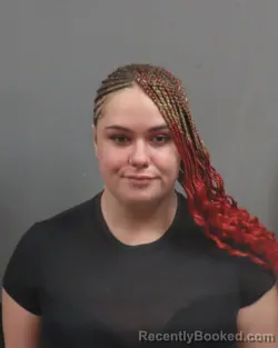 Mugshot of SEJLA SARAC