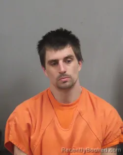 Mugshot of PATRICK LEE WIDEMAN