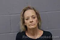 Mugshot of JANA RENEE ULERY