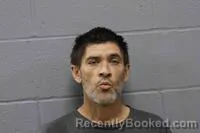 Mugshot of LEE MICHAEL ROSS