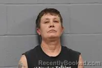 Mugshot of DEZARA DEEANN NELSON booked in Johnson County, Missouri on March 10, 2026