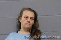 Mugshot of COURTNEY LEANNE DAVIS booked in Johnson County, Missouri on March 13, 2026