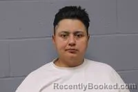 Mugshot of PAULETTE GUADALUPE LEY booked in Johnson County, Missouri on March 13, 2026