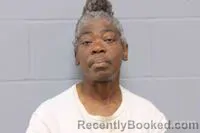 Mugshot of SHARON HARLINE MORGAN booked in Johnson County, Missouri on March 23, 2026