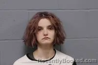 Mugshot of HALEIGH DIANE VAN ZEE booked in Johnson County, Missouri on March 29, 2026