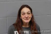 Mugshot of JENNIFER JO HABELITZ booked in Johnson County, Missouri on April 4, 2026