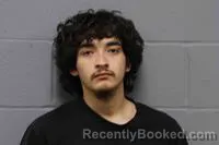 Mugshot of DAMON MICHAEL BRANCH booked in Johnson County, Missouri on April 25, 2026