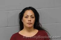 Mugshot of ERIKA PATRICIA LONG booked in Johnson County, Missouri on April 29, 2026