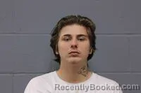 Mugshot of DAVID MICHAEL WILD booked in Johnson County, Missouri on May 17, 2026