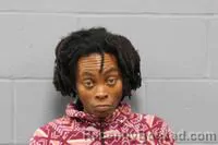 Mugshot of DIANA ZANDERA FREEMAN booked in Johnson County, Missouri on May 21, 2026