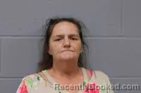 Mugshot of TAMARA KAYE FORD booked in Johnson County, Missouri on May 29, 2026