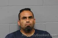 Mugshot of GUADALUPE CENICEROS booked in Johnson County, Missouri on June 4, 2026