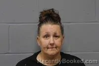 Mugshot of JAMIE ANNETTE TOZIER booked in Johnson County, Missouri on June 4, 2026