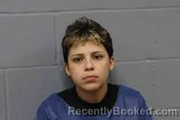 Mugshot of DARLENE ANNA PEREZ booked in Johnson County, Missouri on June 17, 2026