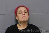 Mugshot of DANIELLE JO SCHWAGER booked in Johnson County, Missouri on June 23, 2026