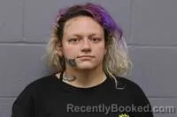 Mugshot of HANNAH ELIZABETH FLETCHER booked in Johnson County, Missouri on June 24, 2026