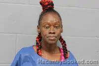 Mugshot of MICHELLE DELANE TURNER booked in Johnson County, Missouri on June 29, 2026