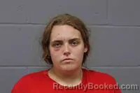 Mugshot of MAKAKLA ANNAMARIE EIDSON booked in Johnson County, Missouri on July 2, 2026