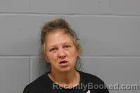 Mugshot of SHAUNA MICHELLE STORMS booked in Johnson County, Missouri on July 7, 2026