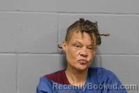 Mugshot of ROBERTA LYNN REETZ booked in Johnson County, Missouri on July 30, 2026
