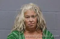 Mugshot of Erica Heather Shaw booked in Johnson County, Missouri on August 19, 2026