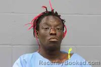 Mugshot of Tiffany Lashaun Williams booked in Johnson County, Missouri on August 31, 2026