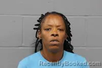 Mugshot of Johnna Shalene Blaylock booked in Johnson County, Missouri on September 1, 2026