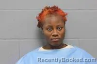 Mugshot of Halima Abdirkadr Hussein booked in Johnson County, Missouri on October 24, 2026