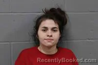 Booking photo from Johnson County, Missouri