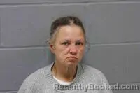 Mugshot of SHAUNA MICHELLE STORMS