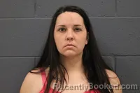 Mugshot of SARAH COLLINS