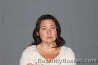 Mugshot of MEGAN CHANHNOUVONG booked in Lawrence County, Missouri on July 15, 2026